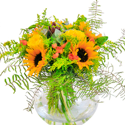 This luminous bouquet, carefully crafted by the hands of a Southfields florist, captures the feeling of strolling through a sunlit garden on Gressenhall Road. Towering sunflowers form the heart of the display, their broad yellow petals alive with cheer, circling around espresso-dark centres. Smaller clusters of bright yellow solidago or mimosa fill the gaps, mimicking the playful scatter of wild blooms in King George's Park, while several coral-orange accent blossoms introduce a modern twist-a nod to the relaxed but trendy ambience of Southfields Village. Surrounding the bold flowers, a flourish of fern fronds spills outward, each feathery green leaf contributing to the airy composition and natural, slightly wild beauty. Interwoven sprigs of eucalyptus-dusty blue and fragrant-enhance the bouquet with a gentle aromatic freshness that lingers pleasantly, complemented by the crispness of lime-green foliage. Each stem is artfully displayed through the clear base of a spherical glass vase, exemplifying the commitment to quality and transparency at Southfields Florist. Bathed in soft daylight, these blooms evoke feelings of happiness and gathering, ideal for celebrations along Wimbledon Park Road or thoughtful gifts delivered to loved ones across Wandsworth. This bouquet is a true reflection of the local spirit-welcoming, uplifting, and brimming with the colours of a Southfields summer.